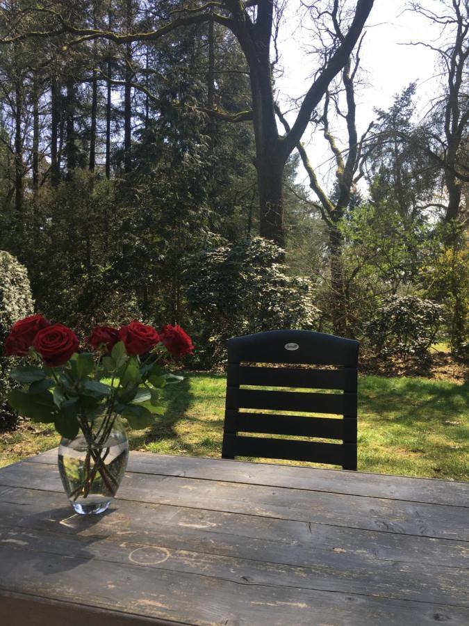 Geschakelde bungalow op de Veluwe De Eekhoorn Otterlo Exterior foto