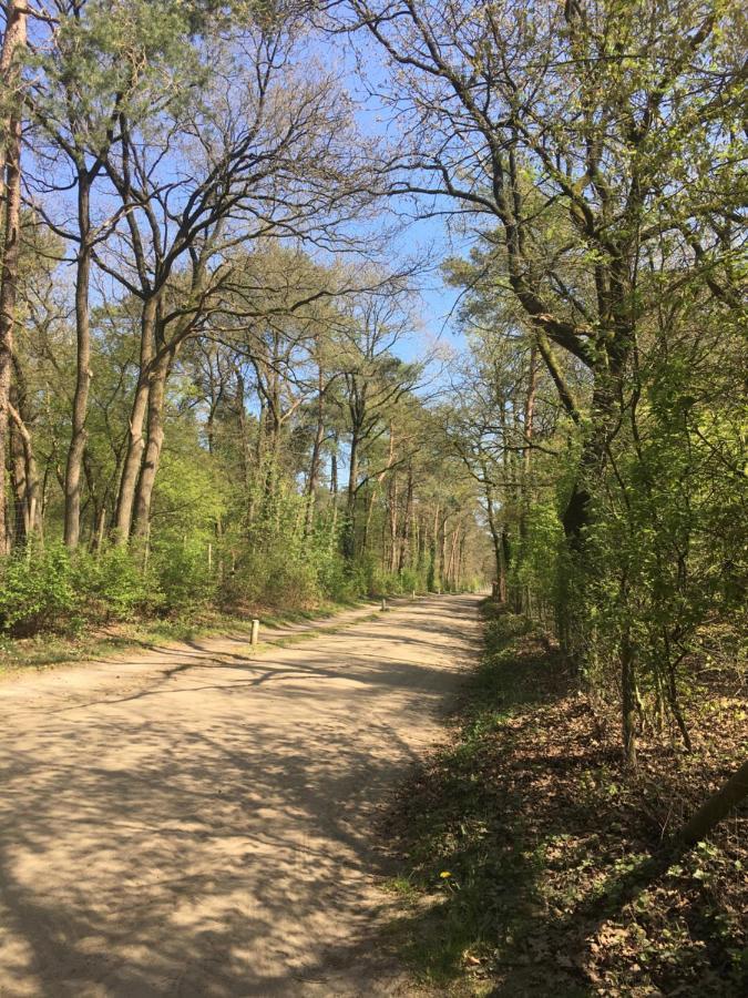 Geschakelde bungalow op de Veluwe De Eekhoorn Otterlo Exterior foto